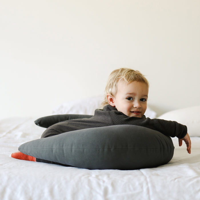 Snuggle Me Organic Feeding Support Nursing Pillow Sparrow Little Suite