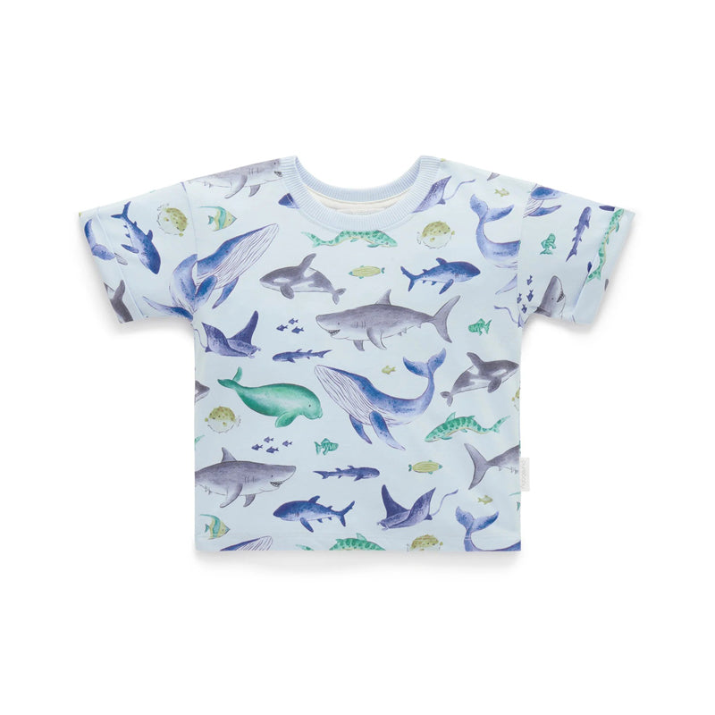 purebaby organic shark relaxed tee kids organic cotton clothes